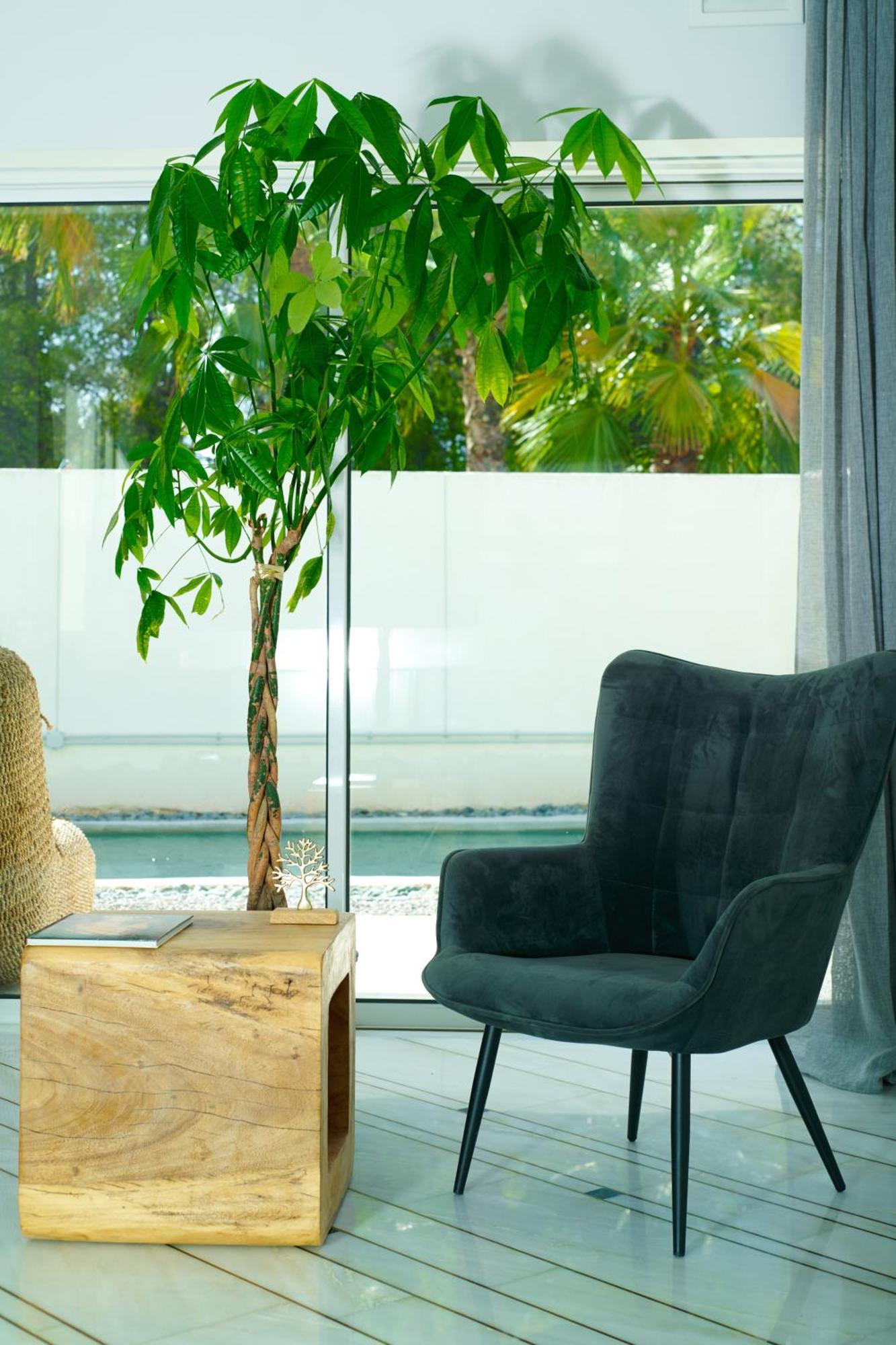 Villa Luxury With Pool, Bbq & Garden In Vouliagmeni Athens